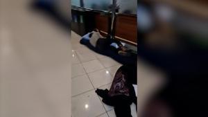 Així va ser l’odissea de diverses famílies per viatjar en vaixell de Barcelona a Palma