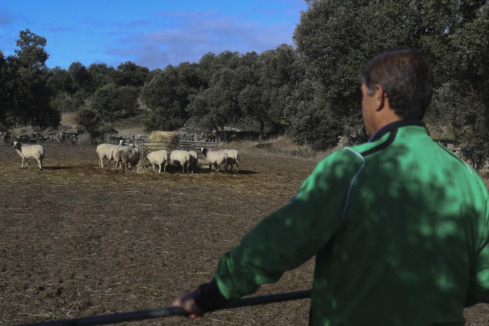 Zamora DesAparece | Badilla de Sayago, más que una ventana a Portugal