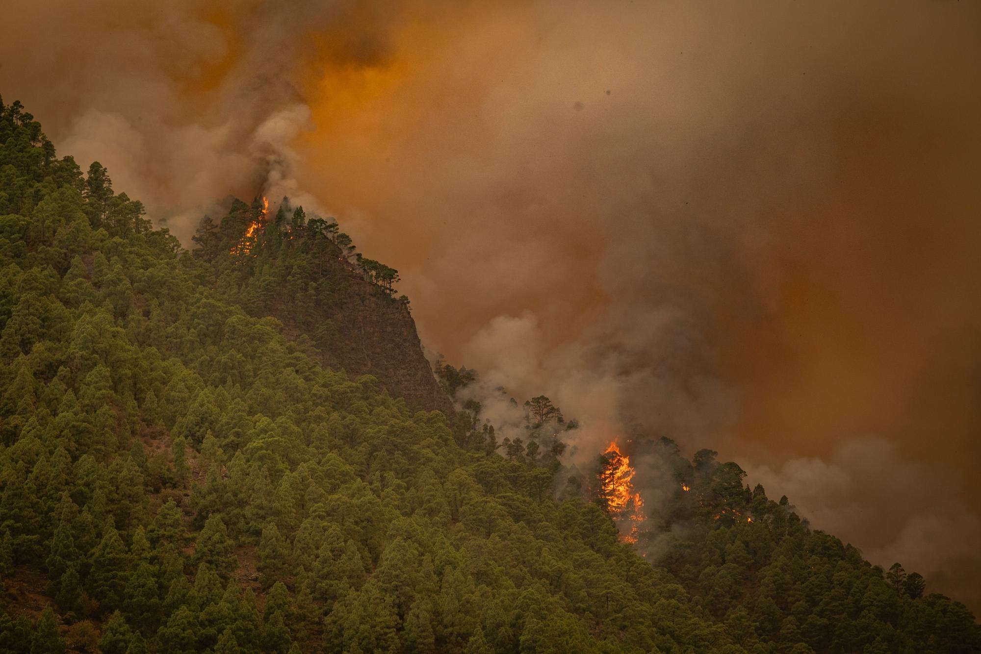 Incendio en Tenerife (16/08/2023)