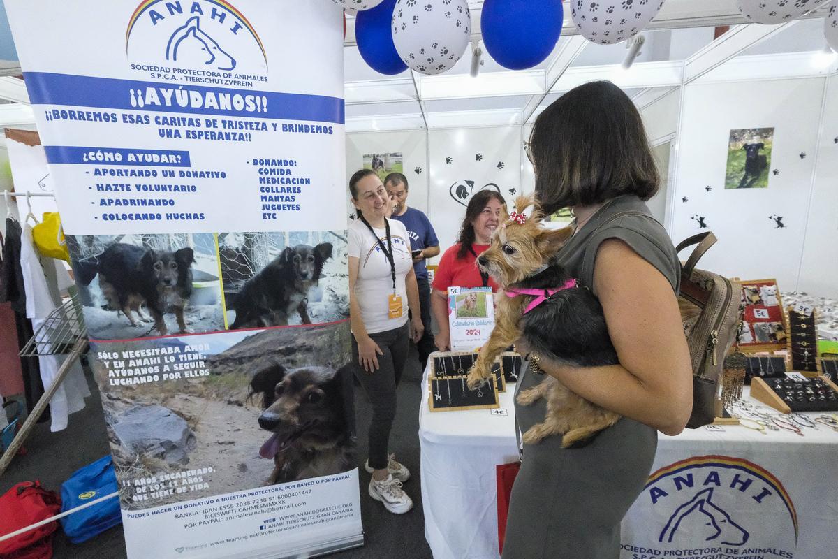 Feria Animundo