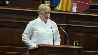 Una diputada del PSOE en Canarias pregunta por una conferencia sectorial que nunca se celebró