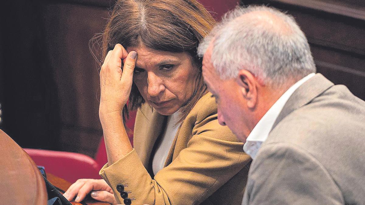 Los diputados de NC-Bc Carmen Hernández y Luis Campos durante el pleno, ayer.