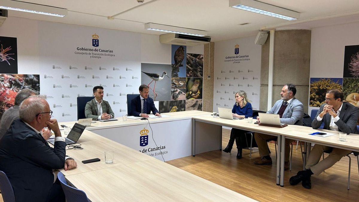 El consejero de Transición Ecológica y Energía y agentes del sector, juntos en la IV Mesa de la Energía Eólica. | E. D.