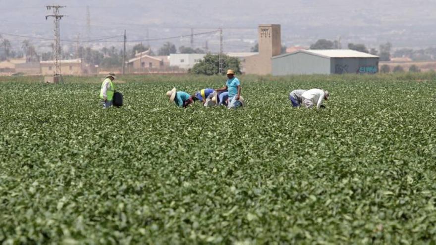 Empleo enseñará a 7.000 trabajadores a protegerse para evitar el estrés térmico