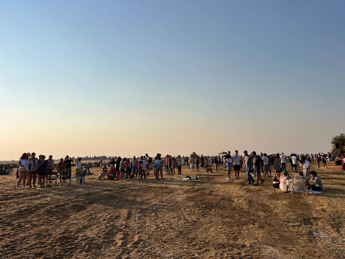 GALERÍA | Toro oscurecido con motivo del eclipse