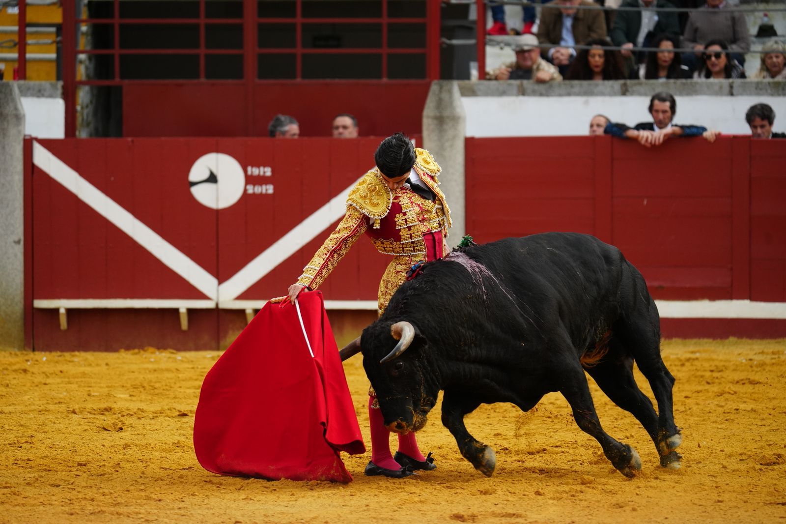 El festejo taurino de Pozoblanco, en imágenes