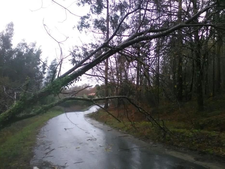 Efectos del temporal en la provincia de Pontevedra