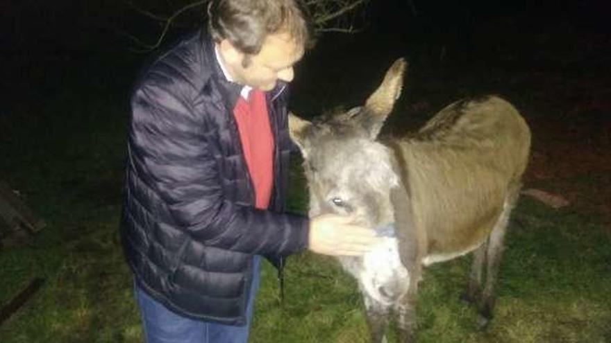 El animal localizado en Barro. // FdV