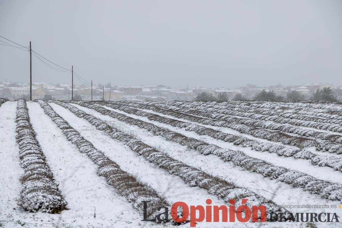 Nieve en el Noroeste