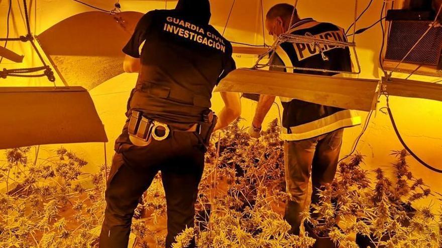 Detenidas 10 personas en Badajoz por cultivo y tráfico de drogas