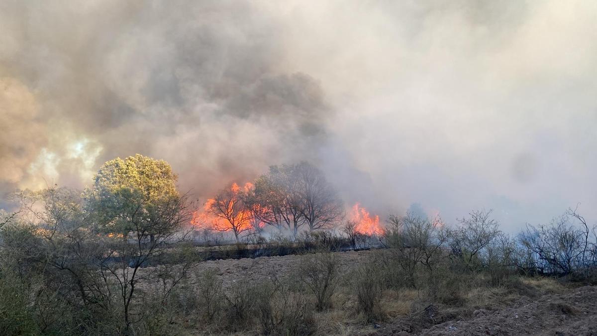 GALERÍA | Incendio forestal en Rábano de Aliste