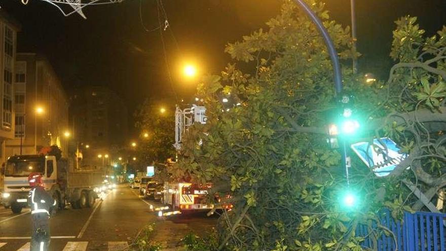 Árbol caído junto a la plaza de Europa, ayer, en O Burgo.