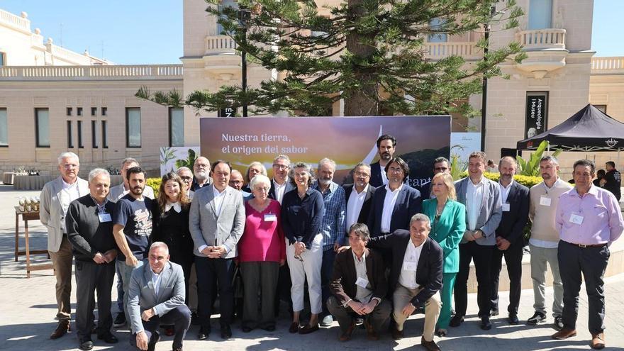 Las almazaras impulsan la denominación de origen del aceite de Alicante