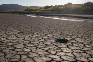 Cercador | Comprova si el teu municipi és un dels afectats per l’alerta per sequera a Catalunya