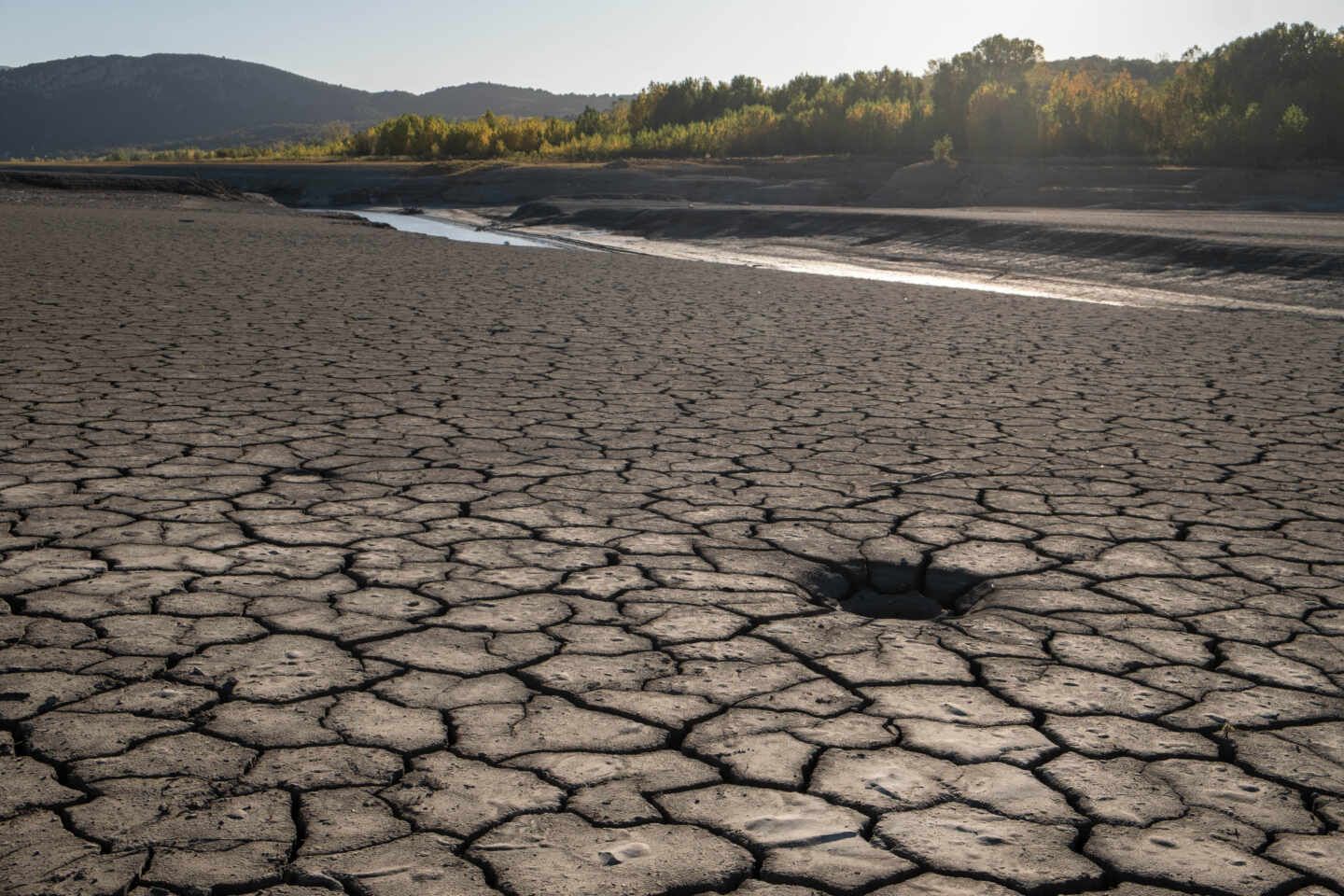 La sequía de este año, resultado del cambio climático