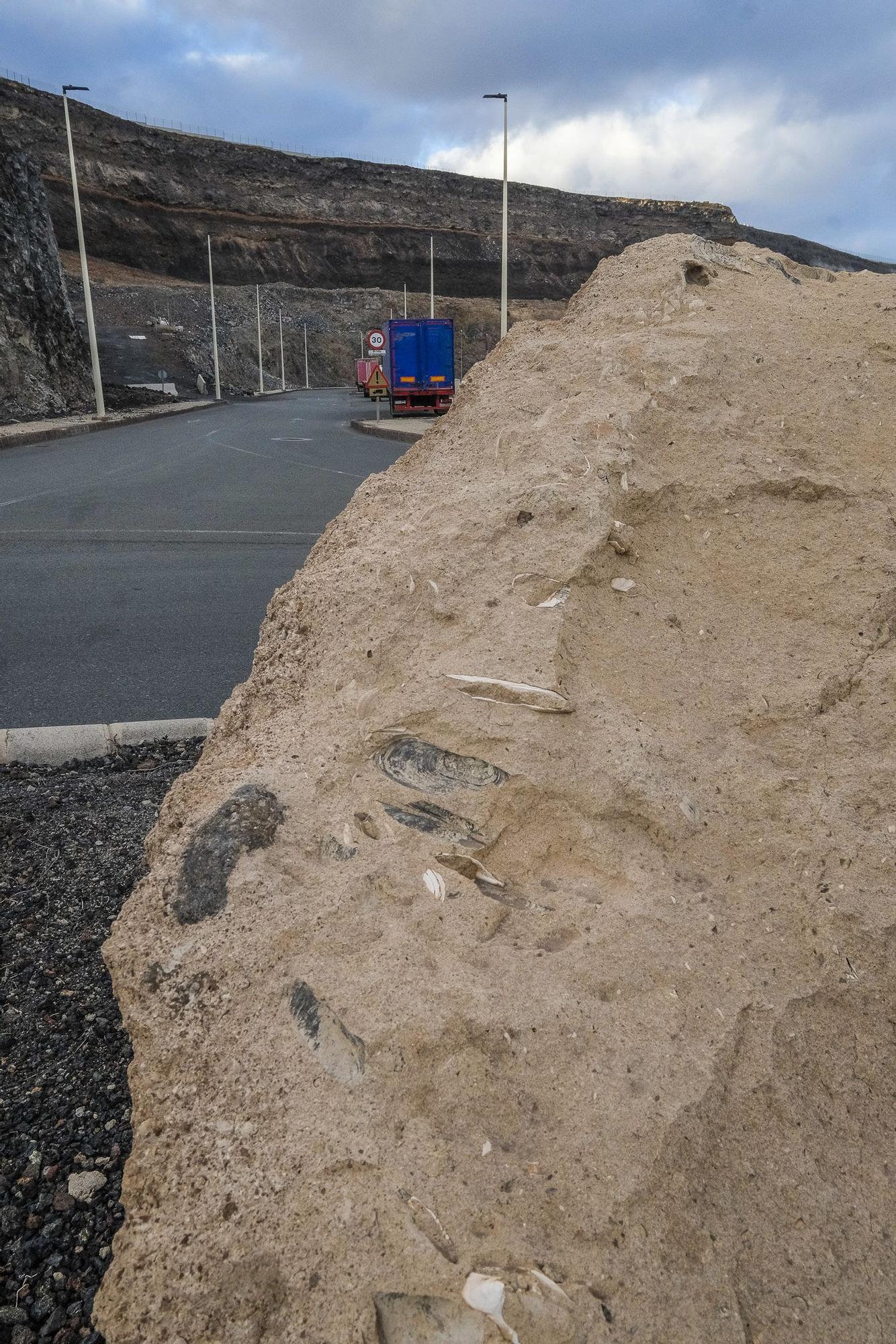 Fósiles marinos en La Esfinge con más de 4,2 millones de años