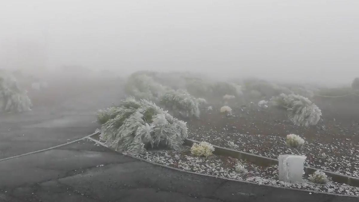 Llega el frío al Teide y empieza a teñirse de blanco