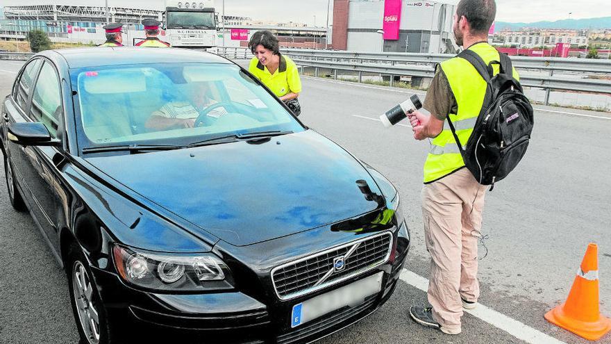 Detecten intercanvi de mosquits tigre entre Girona i Barcelona pels cotxes