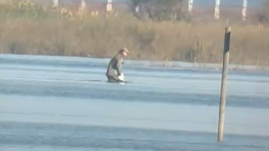 Investigado un vecino de Los Palacios por abatir una especie protegida en Aznalcázar