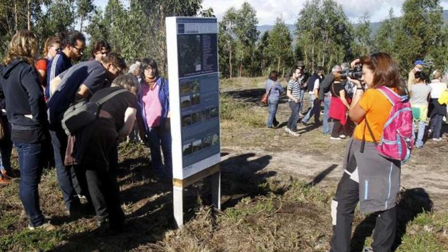 Participantes en una de las rutas guiadas por el yacimiento arqueológico de Monte Penide.  // José Lores