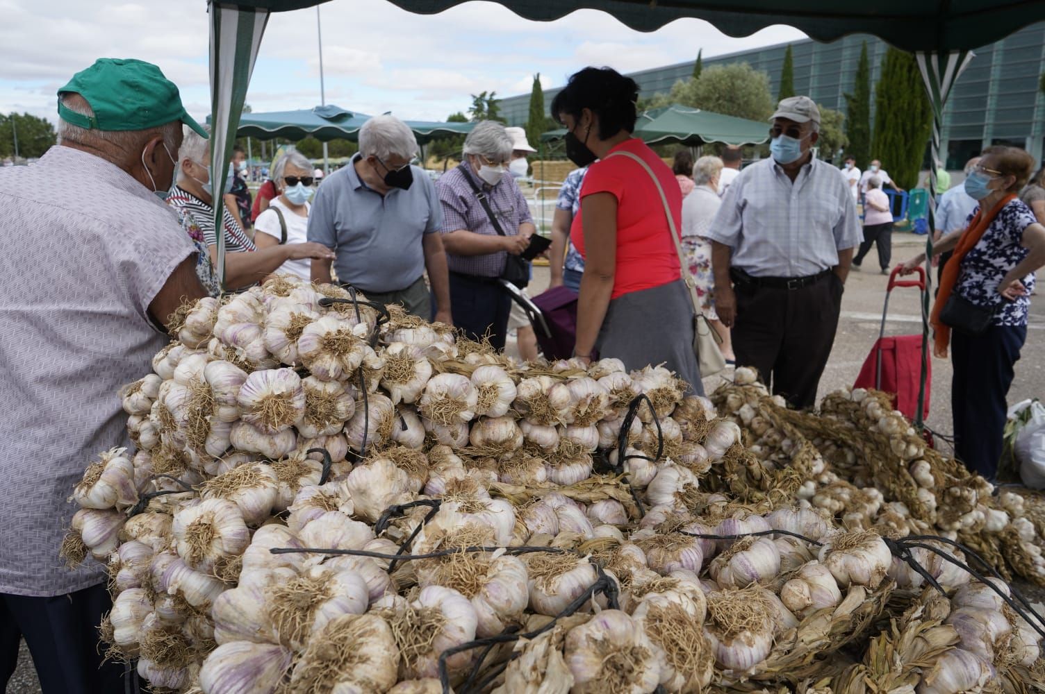 GALERÍA | La Feria del Ajo triunfa en Zamora: buena producción y colas para llegar a Ifeza