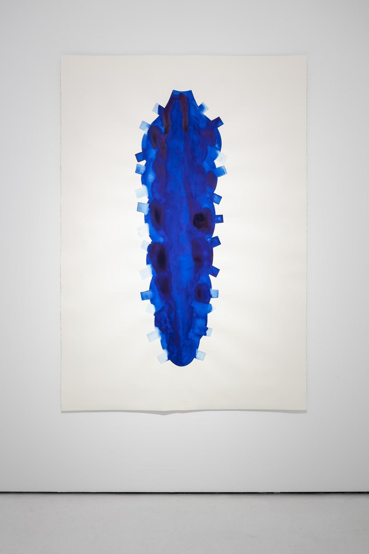 'Desde la media noche'.