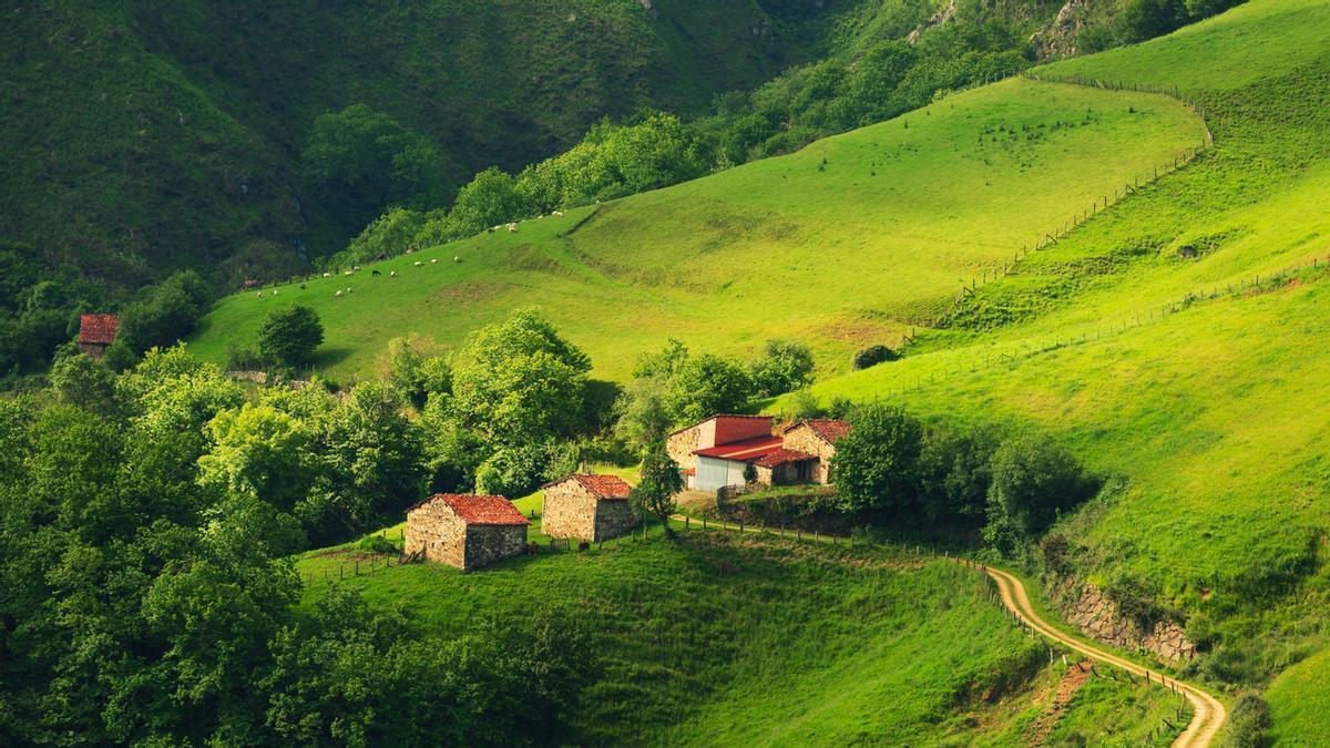 Mónica dedició comenzar desde cero en las montañas de Asturias