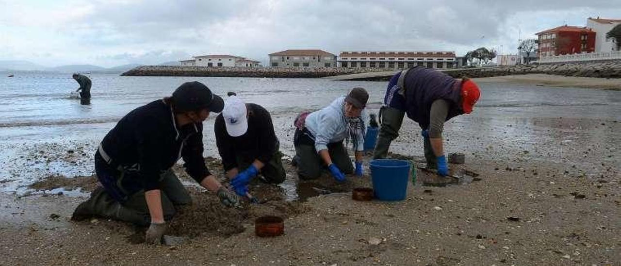 Mariscadoras en O Preguntoiro. // Noé Parga