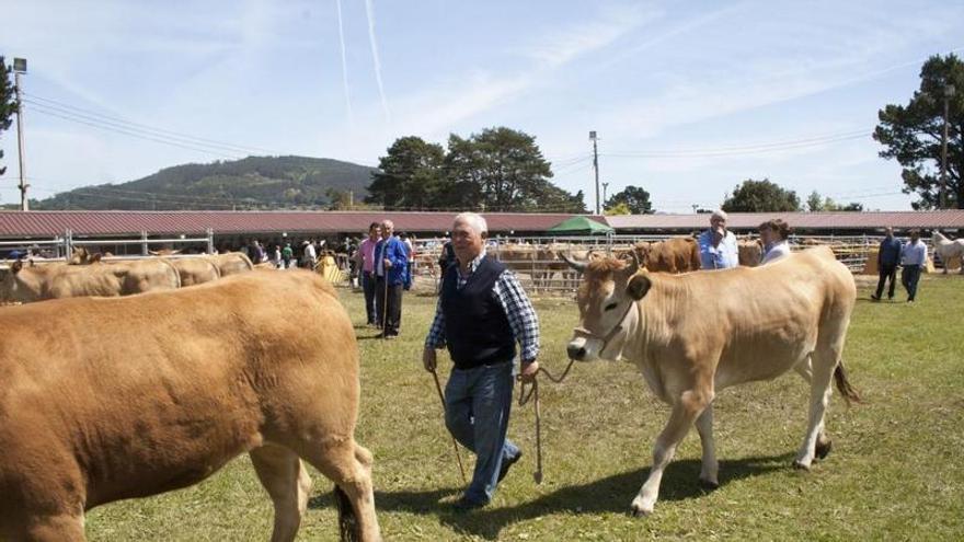 Llanera pone abre el plazo para solicitar las ayudas al sector primario