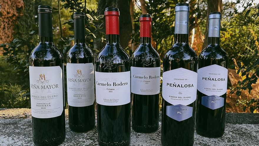 Joyas vinícolas de la Ribera