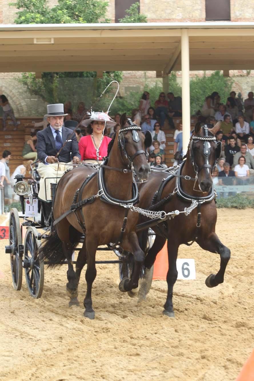 Concurso de atalaje de tradición en Cabalcor