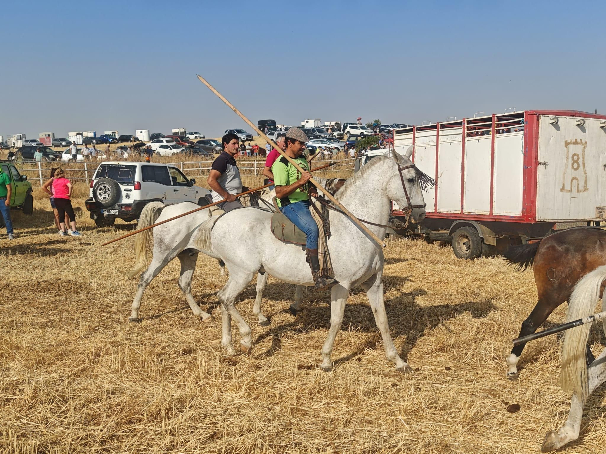 GALERÍA | Mañana de sombrillas en el encierro de Castrillo de la Guareña