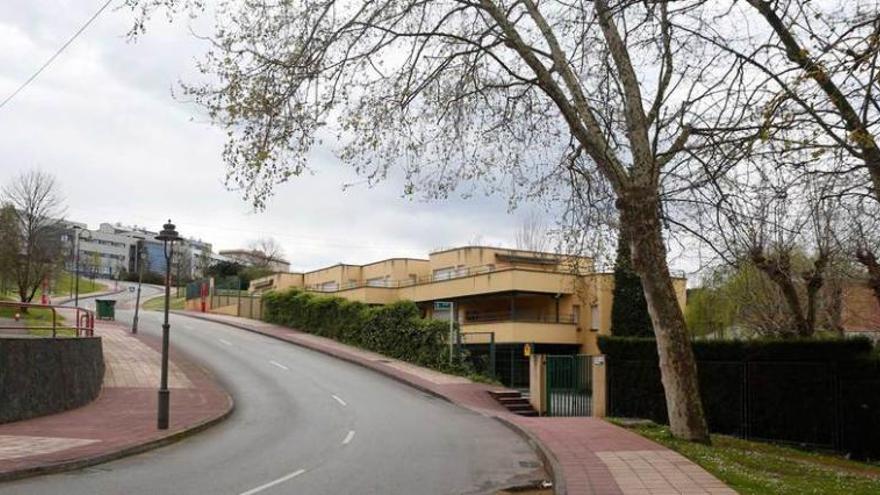 Dos de los arces plataneros que han levantado las protestas de los vecinos de Jardín de Cantos.