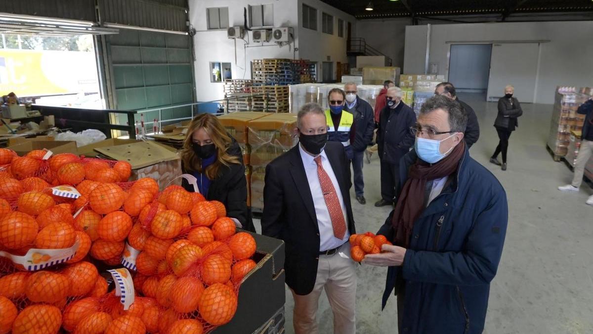 20 toneladas de clementinas para el Banco de Alimentos y Cáritas