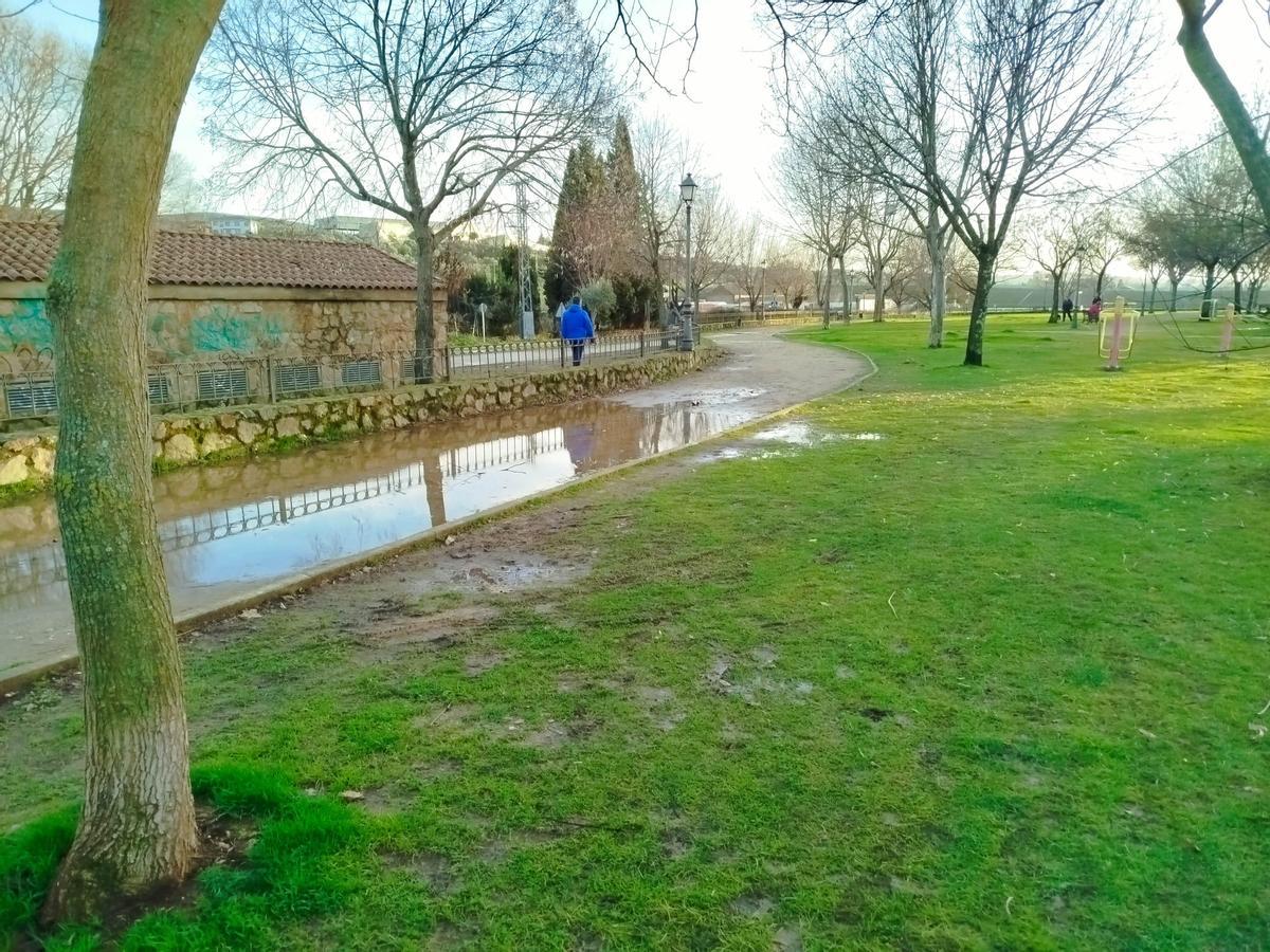 Charco de agua en un paseo del parque del Cachón de Plasencia.
