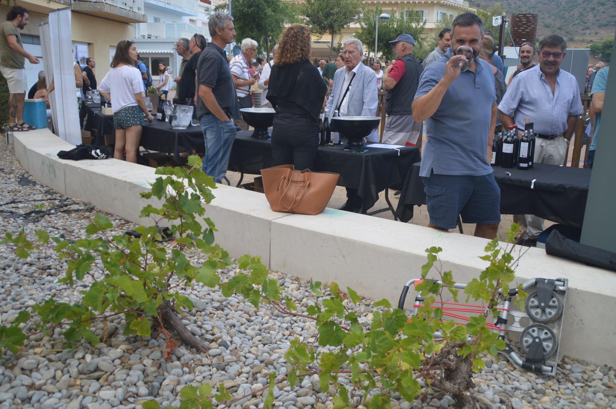 La Festa de la Verema i de la Pissarra omplen Colera d'aromes de vi de la DO Empordà