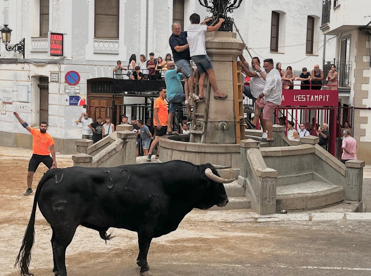 Galería: Así ha sido la fiesta de la Asunción en Llucena Galería: Así ha sido la fiesta de la Asunción en Llucena