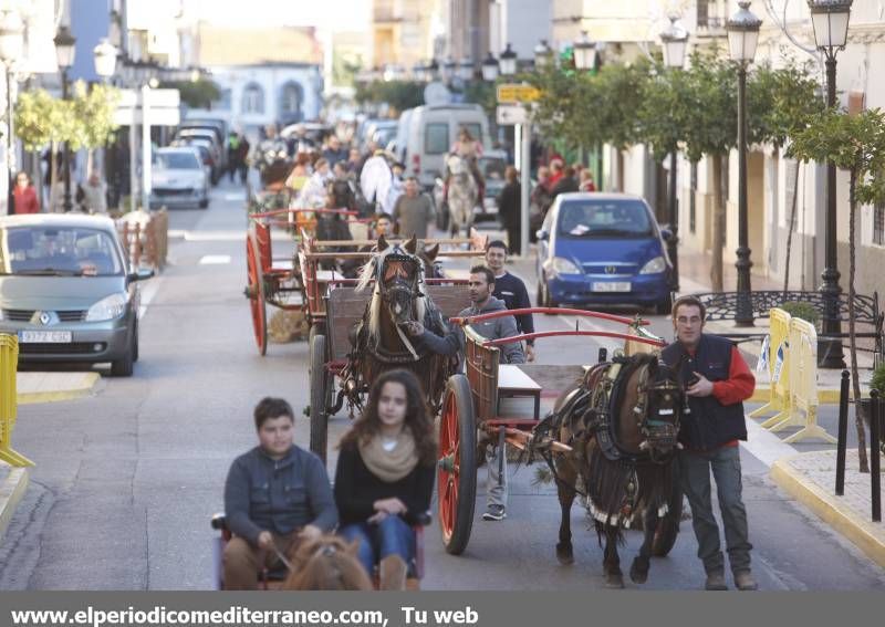 GALERÍA DE FOTOS -- Orpesa celebra Sant Antoni con carreras y bendición de animales