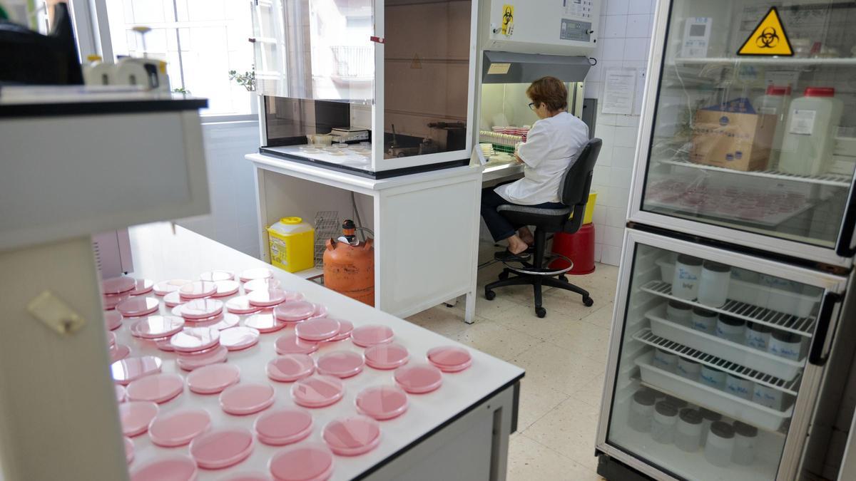 Laboratorio de Salud de Cartagena.