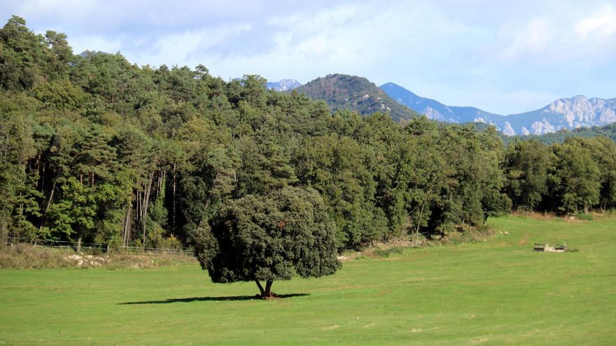 El pla de Clarà, a la Nou de Berguedà, és l’espai on es preveu construir la central hidroelèctrica