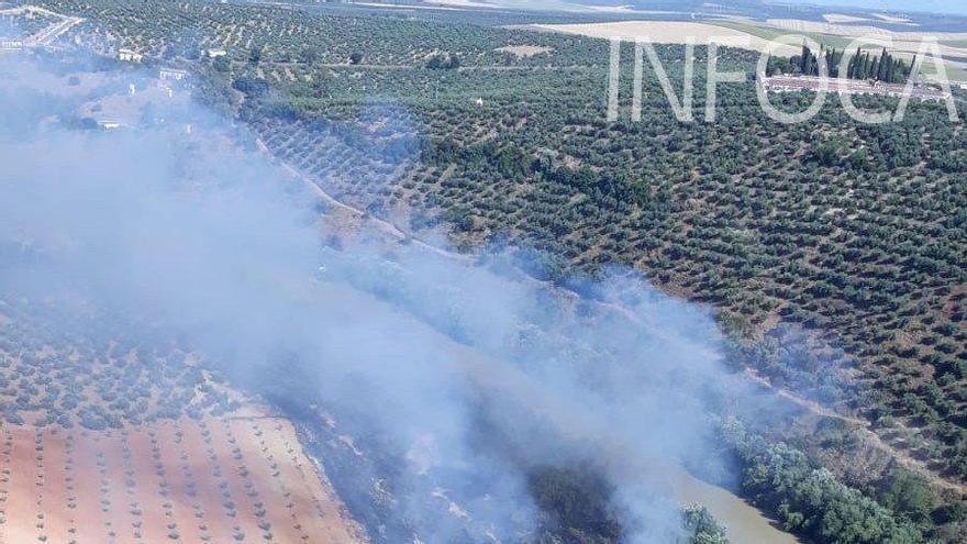 El Infoca controla un incendio forestal en Montoro