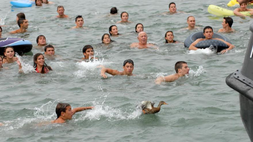 Varios participantes persiguen a uno de los patos arrojados al agua.