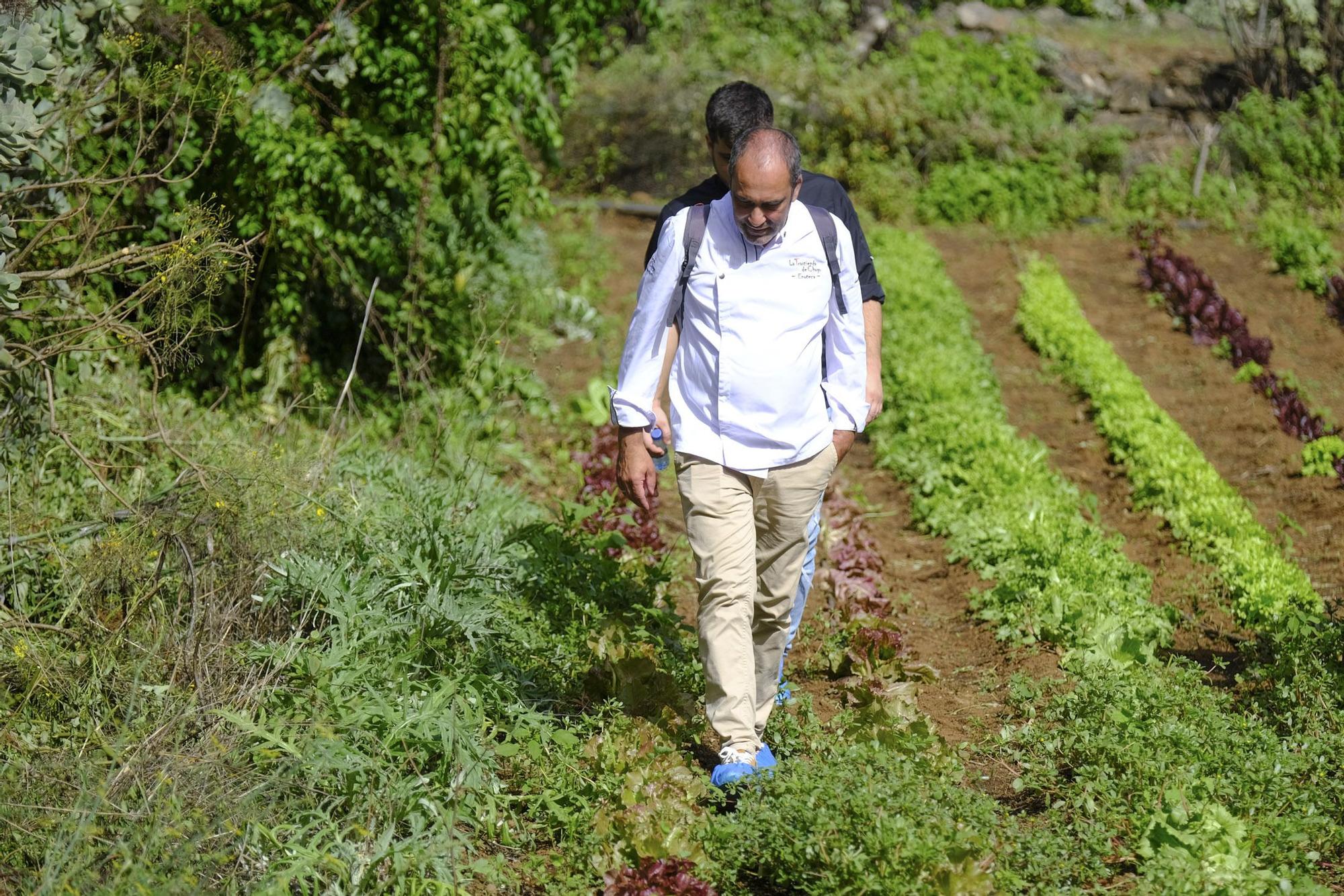 Visita a Ecohuerta Canaria