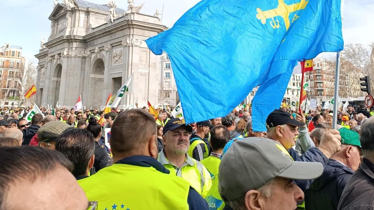 Manifestación de ganaderos en Madrid