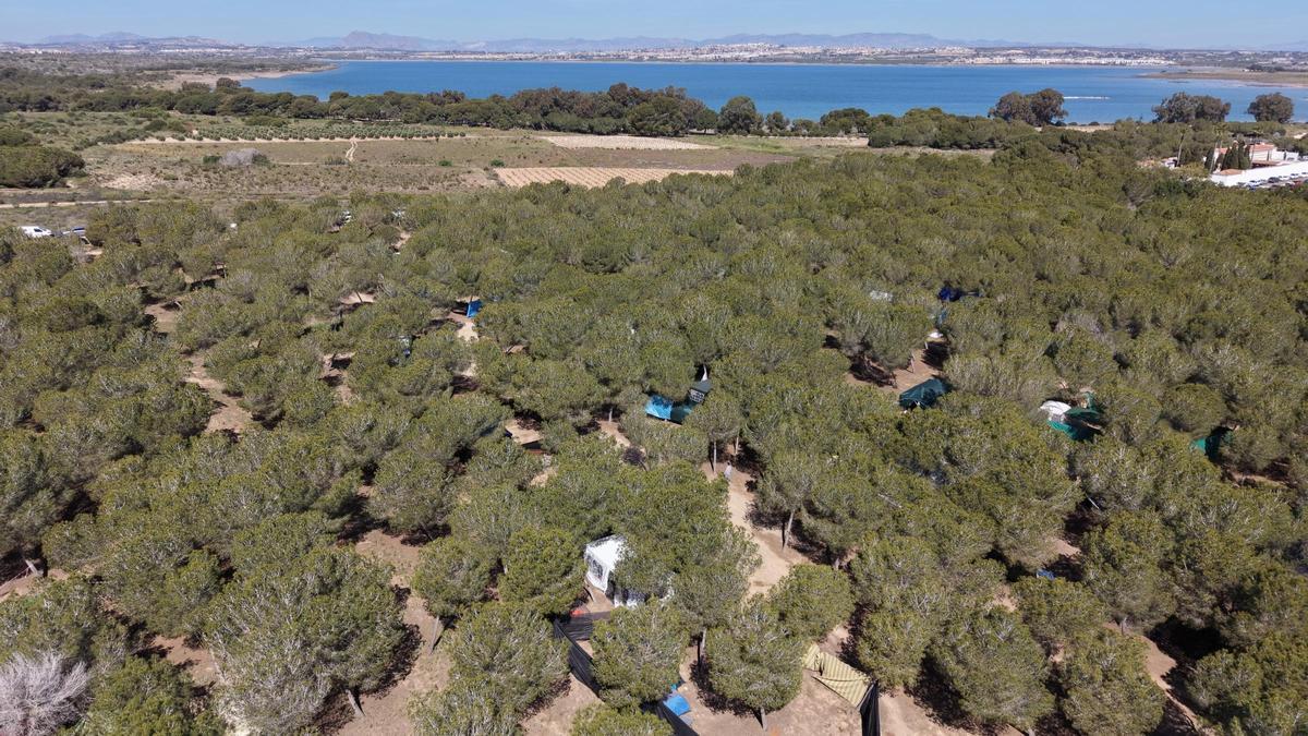 Vuelve el día de mona en Lo Albentosa. Aquí las imágenes del día de campo