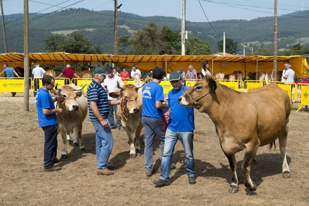 Feria de ganado en Santullano