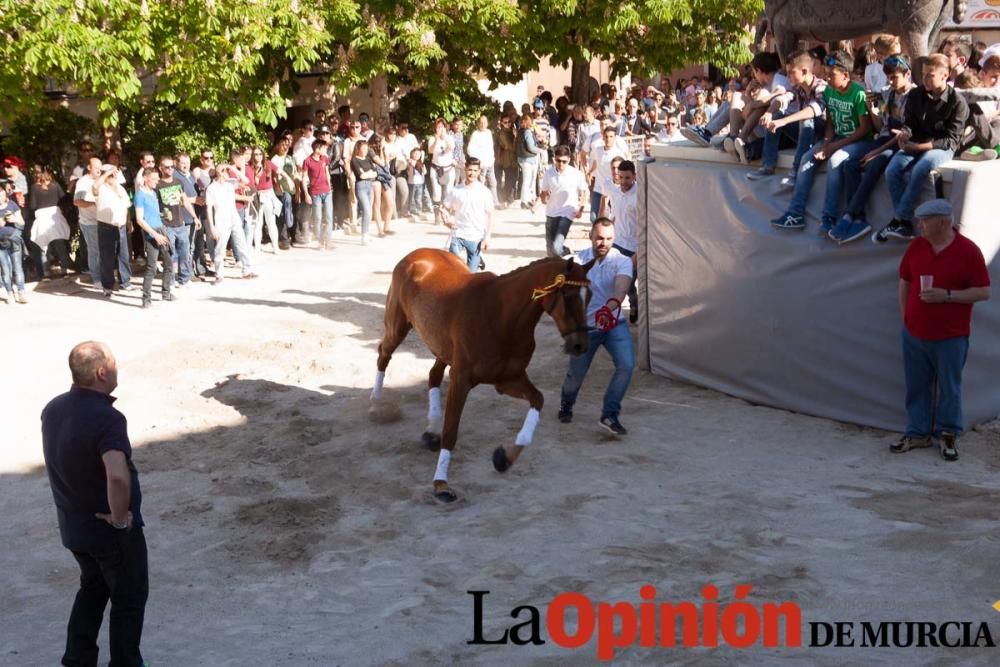 Día uno de mayo, entrada de caballos al Hoyo