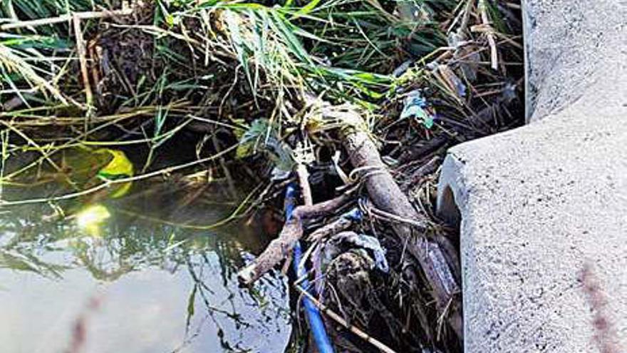 Suciedad y maleza en el río a su paso por Monóvar.