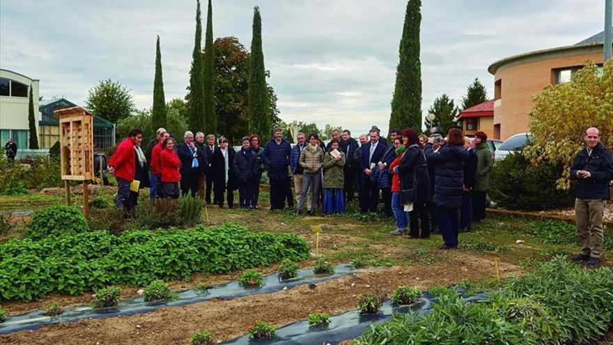 Atades Huesca presenta su proyecto ‘Spagyria’