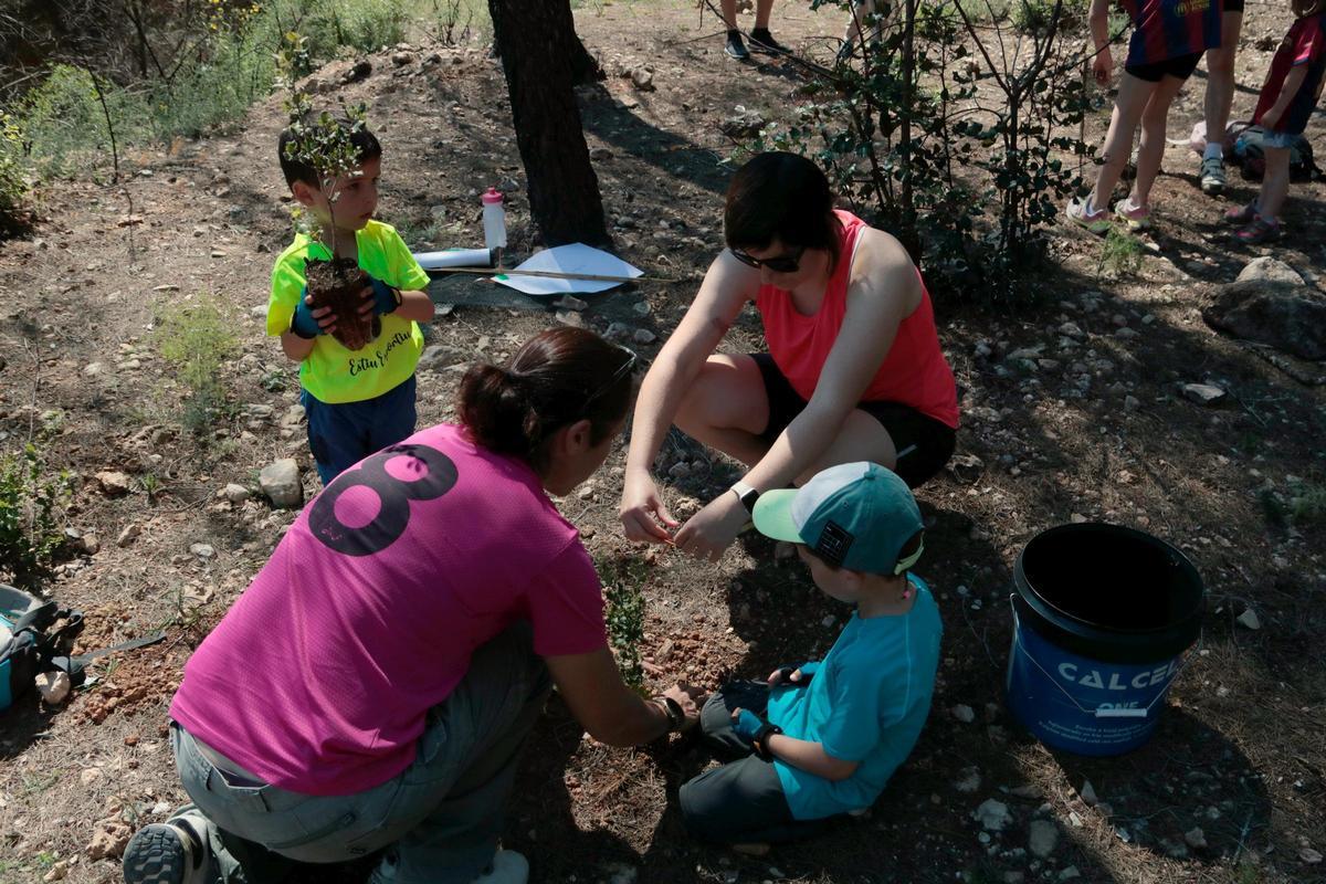 Actividad de plantación de encinas en Xerta y Roquetes.